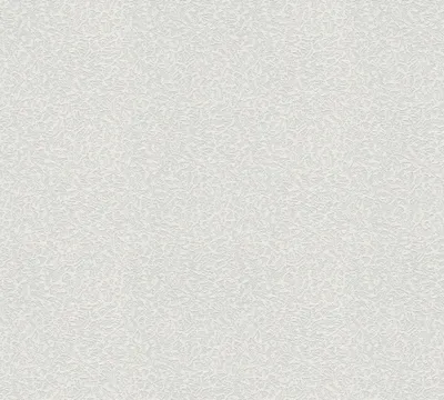 Obrázek produktu pro A.S. Création netkaná tapeta Meistervlies Pro Protect 2, bílá, malovatelná, 25,00 m x 1,06 m, 643018, 6430-18