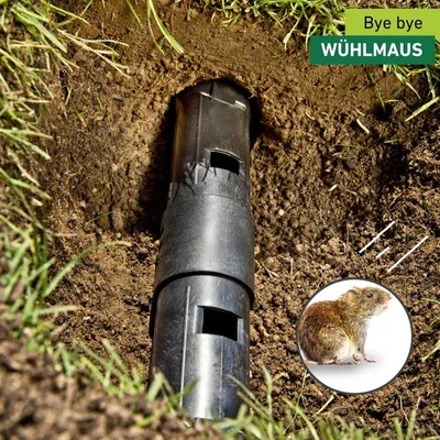 Produktbild von Windhager Wühlmausfalle TUBE Lebendfang für Wühlmäuse und Maulwürfe, mehrfach verwendbar