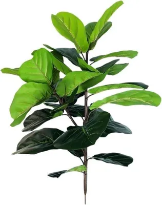 Obrázek produktu pro Umělá rostlina - Falešný Ficus - dekorativní použití - Realistický vzhled - 150 cm - Zelená