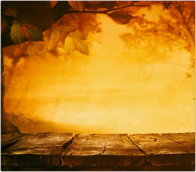 Produktbild von Spritzschutz Herdabdeckplatte Schneidebrett aus Glas Sonnenuntergang im Herbst 1-Teilig (60x52cm)