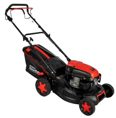 Image de Tondeuse à gazon BIG WHEELER 464.3 R
