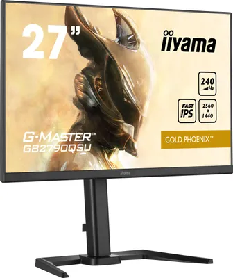 Produktbild von Iiyama G-MASTER GB2790QSU-B5 - LED-Monitor - 68.5 cm (27″)