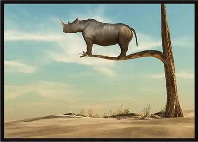 Produktbild von Bildplakat im Rahmen, A4 cm, Nashorn, PD227