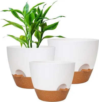 Obrázek produktu pro Samozavlažovací květináč s zavlažovacím systémem pro orchideje, vnitřní i venkovní použití, velký