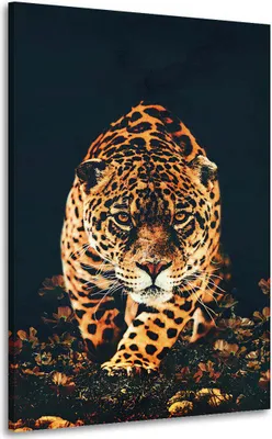 Produktbild von Wandbild Leinwandbild Beautiful Leopard: 60x90x2cm
