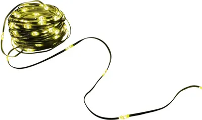 A coiled string of warm white LED lights on a black wire, with the string extending out of the coil.