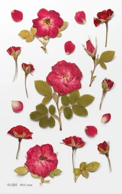 Productafbeelding van Decoratieve stickers: rozen