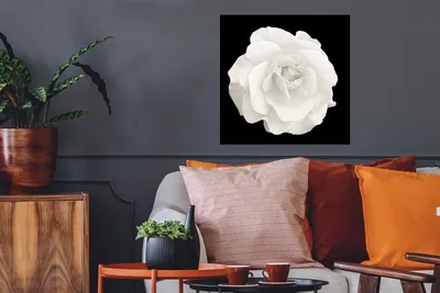 Produktbild von MuchoWow® Poster Rosa - Schwarz - Weiß 50x50 cm - Wohnzimmerdekoration