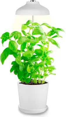 Produktbild von Bioledex GoLeaf TOP5 LED Pflanzenleuchte Vollspektrum 5W USB Pflanzenbeleuchtung
