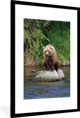 Produktbild von MuchoWow® MuchoWow® Gerahmtes Poster Bär - Stein - Tier 60x90 cm - Poster mit zchwarzem Bilderrahmen - Dekoration - Wandposter Wohnzimmer - Hochwertig