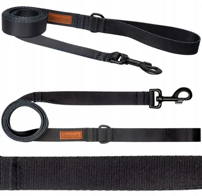 Produktbild von Ukory Klassische Hundeleine Gurtband 180 cm Schwarz