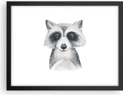 Produktbild von Gerahmtes Poster - Schwarzer Rahmen - Waschbär Bild Kinder - 40x30 cm - Wand Bild - Wanddeko - Wandbilder - Kunstposter - Wandposter - Bilderrahmen - Bilder - Kunstdruck - P2BAA40x30-4607