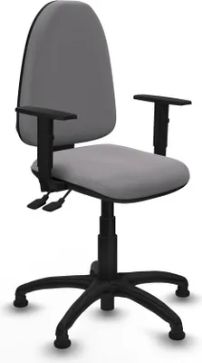 Zdjęcie produktu dla Krzesło biurowe Piqueras y Crespo B1D01RT Grey