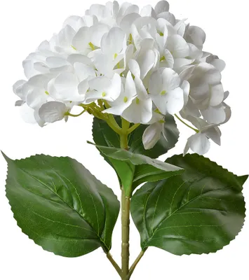 Produktbild von Clayre & Eef Kunstblume Hortensie 68 cm Weiß Kunststoff