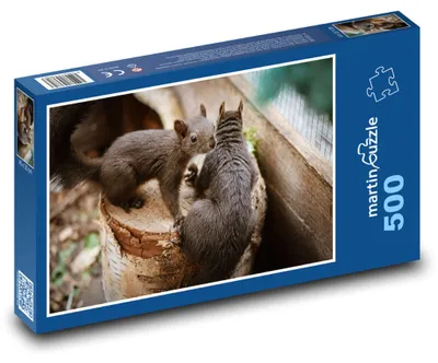 Obrázok produktu pre Puzzle 500 Veveričky na pni - martinpuzzle
