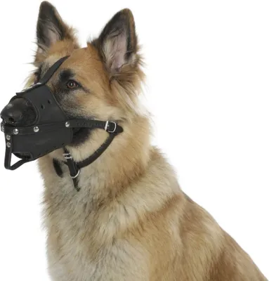 Image de Muselière en cuir pour chien, 36 cm x 9,5 cm, Kerbl