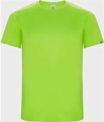 Obrázek produktu pro Roly Eco CA0427 | Pánské funkční tričko Imola - 50% recyklovaný polyester - barva: Fluor Green 222 - velikost: 3XL