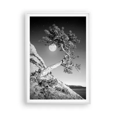 Produktbild von Gerahmtes Poster - Weißer Rahmen - Voll der Mond Baum - 70x100 cm - Wand Bild - Wanddeko - Wandbilder - Kunstposter - Wandposter - Bilderrahmen - Bilder - Kunstdruck - P2WPA70x100-4689