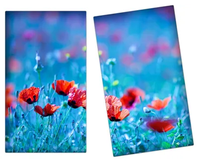 Produktbild von Spritzschutz Herdabdeckplatte Schneidebrett aus Glas Blumenwiese 2-Teilig (60x52cm)