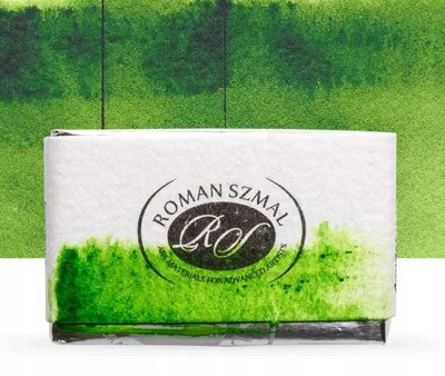 Produktbild von Aquarius 233 Sap Green Aquarellfarbe Napfform Hochpigmentiert