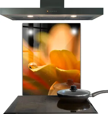 Produktbild von Spritzschutz aus Glas Küchenrückwand - Wandschutz für Herd und Spüle - 60x80 cm - Gerberblume