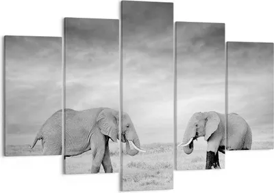 Produktbild von Bild auf Leinwand - Leinwandbild - 5 Teile - Elefanten Schwarzweiß Safari - 150x100cm - Wand Bild - Wanddeko - Wandbilder - Leinwanddruck - Bilder - Wanddekoration - Leinwand bilder - EA150x100-4186