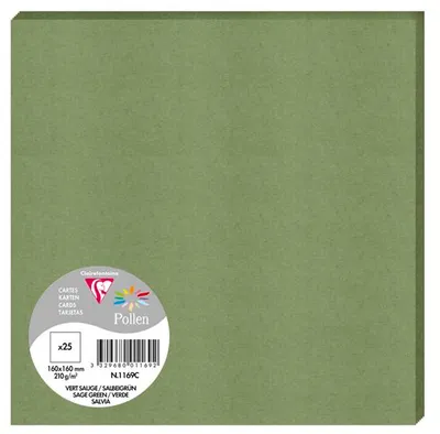 Produktbild von Pollen by Clairefontaine Karte 160 x 160 mm salbeigrün 25 Karten