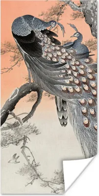 Produktbild von MuchoWow® Poster Pfauenfedern - Pfau - Vintage 20x40 cm - Plakat - Foto