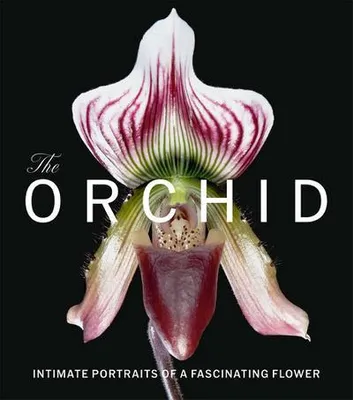 Zdjęcie produktu dla The Orchid