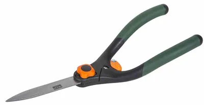 Image de SIENA GARDEN Taille-haies et sculpte-haies CB2190