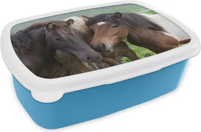 Produktbild von KitchenYeah® Lunchbox Brotzeit Brotdose 17x11 cm Pferde - Tiere - Braun Kinder Brotzeitdose - Lunch - Kunststoff  - Brotbüchse - Sandwichbox - Lunchbox für Kinder
