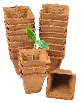 Image de Pots de culture classic floraworld 6x6cm 20 pièces
