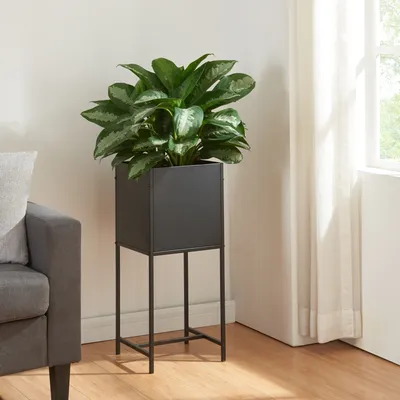 A plant stand with a plant on it, next to a sofa and a window with curtains.