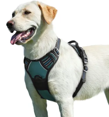 Productafbeelding van Hondenharnas zonder Trek voor Grote Honden