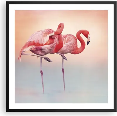 Produktbild von Gerahmtes Poster - Schwarzer Rahmen - Flamingos Exotik Vögel - 60x60 cm - Wand Bild - Wanddeko - Wandbilder - Kunstposter - Wandposter - Bilderrahmen - Bilder - Kunstdruck - P2BAC60x60-5044