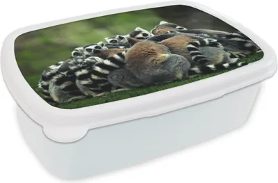 Produktbild von KitchenYeah® Lunchbox Brotzeit Brotdose 17x11 cm Affen - Ringelschwanzlemuren - Wald Kinder Brotzeitdose - Lunch Box - Kinder - Sandwich-Box - Schulbox - Lunch Boxen