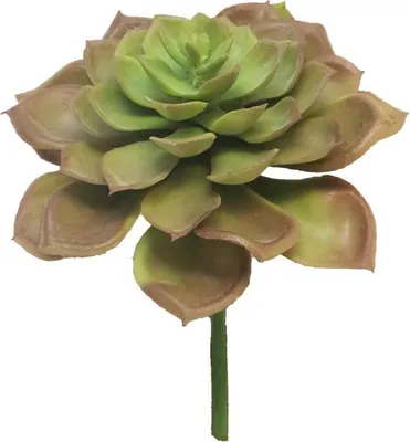 Produktbild von artplants.de Kunst Echeveria morani XINYA auf Steckstab, rot-grün, 17 cm - Künstliche Echeveria Pflanze