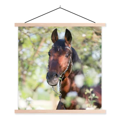 Produktbild von MuchoWow® Textilposter Pferde - Blüte - Frühling - Tiere 120x120 cm mit holzfarbenen Rahmen - Textil-Poster