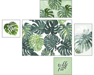 Produktbild von Leinwandbild Green Plants 5er-Set 120x100 cm