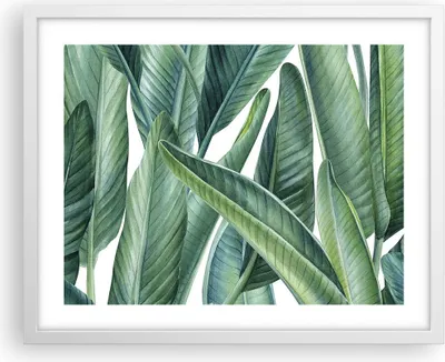Produktbild von Gerahmtes Poster - Weißer Rahmen - Exotisch Blätter Grün - 50x40 cm - Wand Bild - Wanddeko - Wandbilder - Kunstposter - Wandposter - Bilderrahmen - Bilder - Kunstdruck - Wandbild - P2WAA50x40-4258