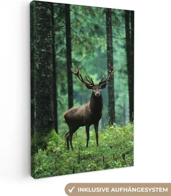 Produktbild von MuchoWow® - Leinwandbilder - Hirsche - Wald - Bäume - Tiere - Natur, Wandbild, Wanddeko Bilder Wohnzimmer, 80x120 cm