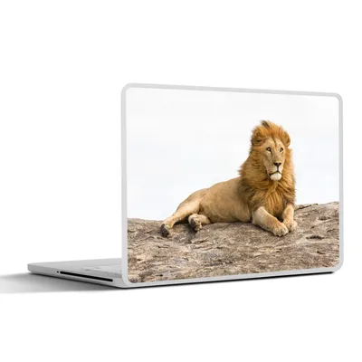Produktbild von MuchoWow® Laptop Aufkleber Sticker Cover Löwe - Felsen - Wild 30x22 cm - Laptop-Sticker