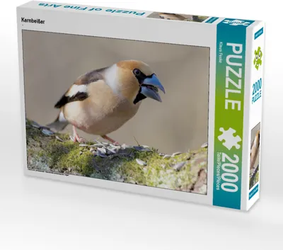 Produktbild von CALVENDO Puzzle Kernbeißer 2000 Teile Puzzle quer | 2000 Teile Lege-Größe 90x67cm Foto-Puzzle für glückliche Stunden