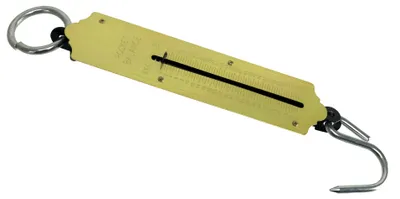 Produktbild von MASTERPROOF, Taschenfederwaage bis 50 kg