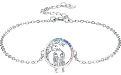 Image de Bracelet pour femme, argent 925, pendentif en forme de cœur, longueur 17+4 cm, argent sterling, zirconium