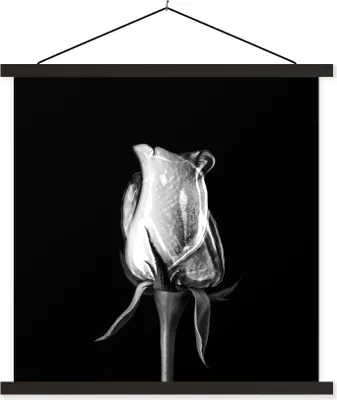 Produktbild von MuchoWow® Textilposter Rosen - Blumen - Schwarz - Weiß 120x120 cm mit schwarzem Rahmen - Aufhängungsset