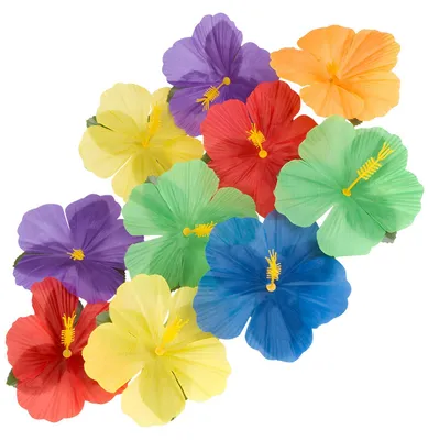 Produktbild von Dekoblüten Hibiscus Hawaii 24 Stk