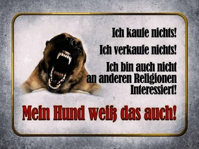 Produktbild von vianmo Holzschild 30x40 cm kaufe nichts mein Hund weiß
