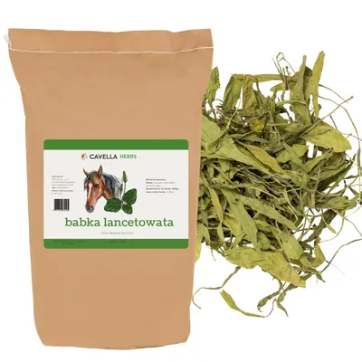 Image de Cavella Spitzwegerich pour chevaux, 1 kg – herbe séchée, aliment complémentaire pour les voies respiratoires, l'estomac, la digestion et le système immunitaire