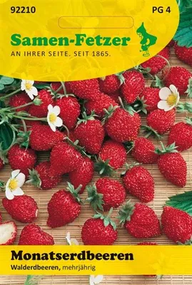 Produktbild von Monatserdbeeren Walderdbeeren